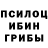 Псилоцибиновые грибы GOLDEN TEACHER Denys Myroof