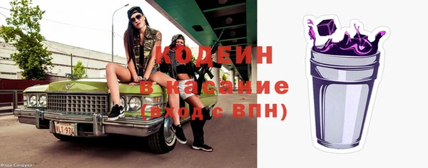 ПСИЛОЦИБИНОВЫЕ ГРИБЫ Верея