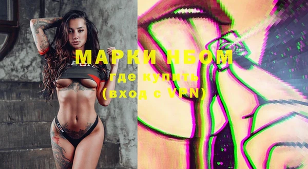 ПСИЛОЦИБИНОВЫЕ ГРИБЫ Верея