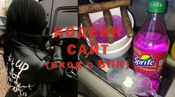 ПСИЛОЦИБИНОВЫЕ ГРИБЫ Верея