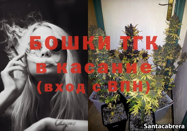 ПСИЛОЦИБИНОВЫЕ ГРИБЫ Верея